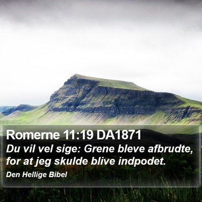 Romerne 11:19 DA1871 Bible Verse Image