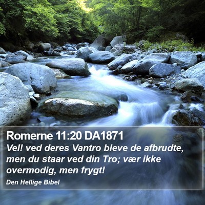 Romerne 11:20 DA1871 Bible Verse Image