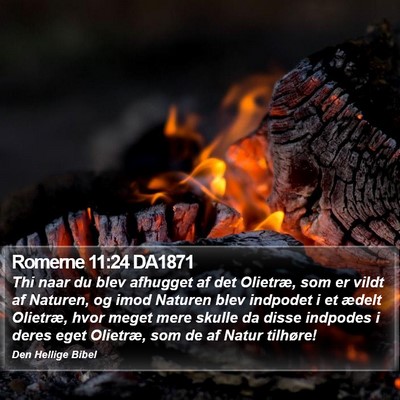 Romerne 11:24 DA1871 Bible Verse Image