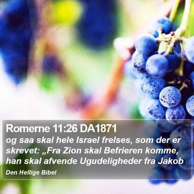 Romerne 11:26 DA1871 Bible Verse Image
