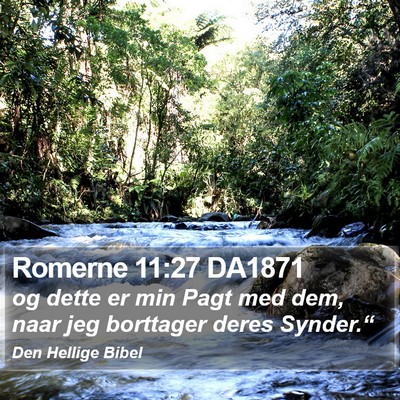 Romerne 11:27 DA1871 Bible Verse Image