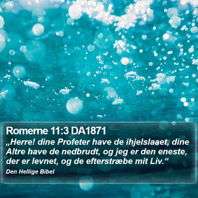 Romerne 11:3 DA1871 Bible Verse Image