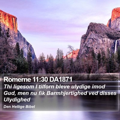 Romerne 11:30 DA1871 Bible Verse Image