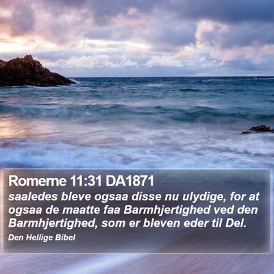 Romerne 11:31 DA1871 Bible Verse Image