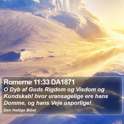 Romerne 11:33 DA1871 Bible Verse Image