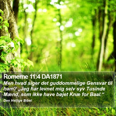 Romerne 11:4 DA1871 Bible Verse Image