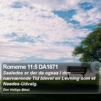 Romerne 11:5 DA1871 Bible Verse Image