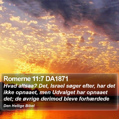 Romerne 11:7 DA1871 Bible Verse Image