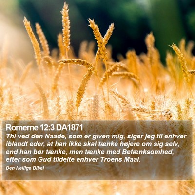 Romerne 12:3 DA1871 Bible Verse Image