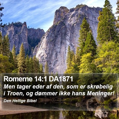 Romerne 14:1 DA1871 Bible Verse Image