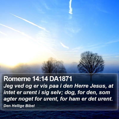 Romerne 14:14 DA1871 Bible Verse Image