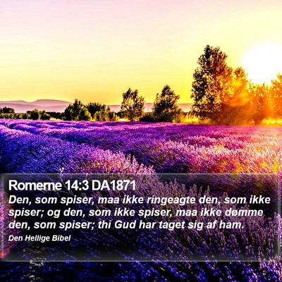 Romerne 14:3 DA1871 Bible Verse Image