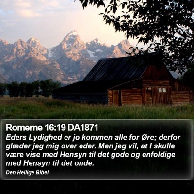 Romerne 16:19 DA1871 Bible Verse Image