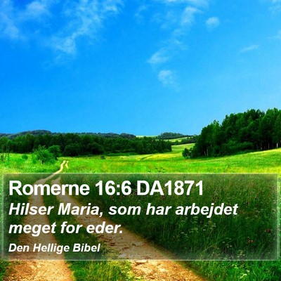 Romerne 16:6 DA1871 Bible Verse Image