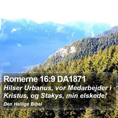 Romerne 16:9 DA1871 Bible Verse Image