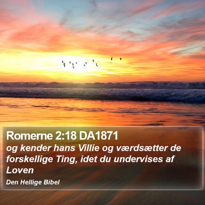 Romerne 2:18 DA1871 Bible Verse Image