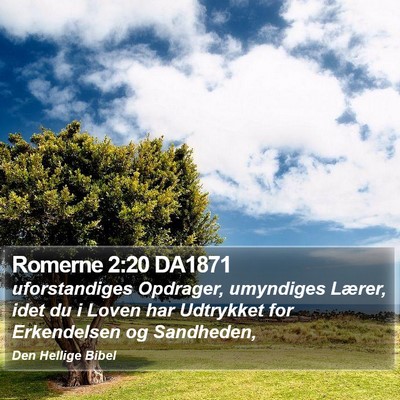 Romerne 2:20 DA1871 Bible Verse Image