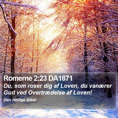 Romerne 2:23 DA1871 Bible Verse Image