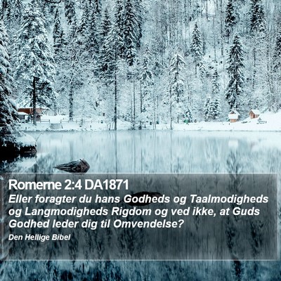 Romerne 2:4 DA1871 Bible Verse Image