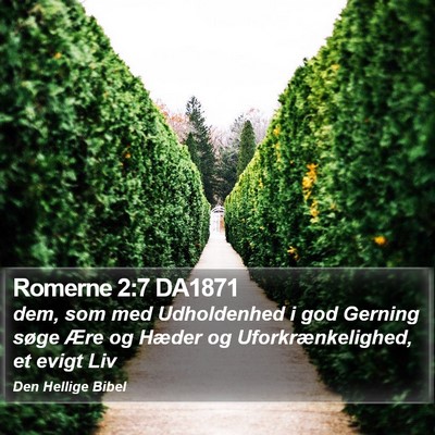 Romerne 2:7 DA1871 Bible Verse Image