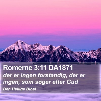 Romerne 3:11 DA1871 Bible Verse Image