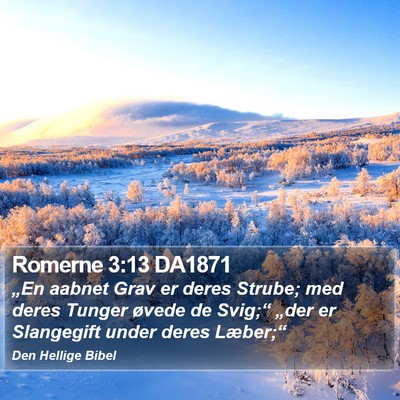 Romerne 3:13 DA1871 Bible Verse Image