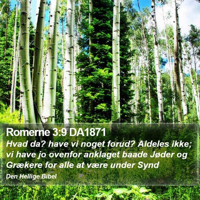 Romerne 3:9 DA1871 Bible Verse Image
