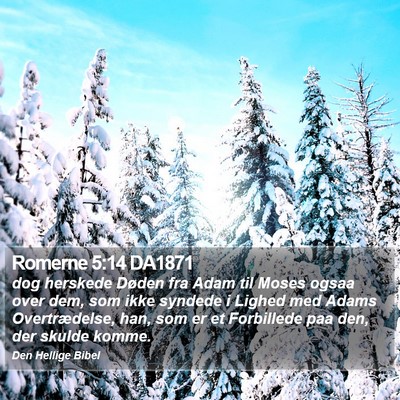 Romerne 5:14 DA1871 Bible Verse Image