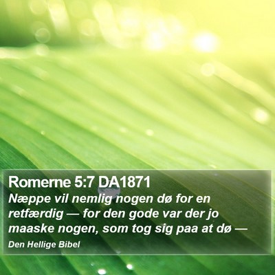 Romerne 5:7 DA1871 Bible Verse Image