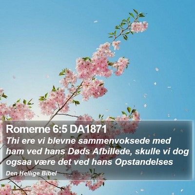 Romerne 6:5 DA1871 Bible Verse Image
