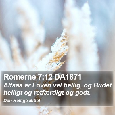 Romerne 7:12 DA1871 Bible Verse Image