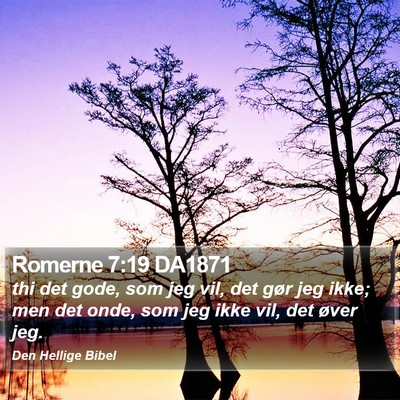 Romerne 7:19 DA1871 Bible Verse Image