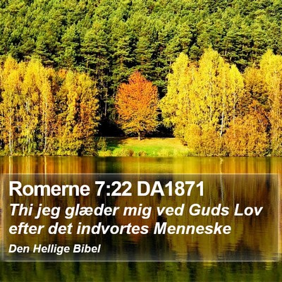 Romerne 7:22 DA1871 Bible Verse Image