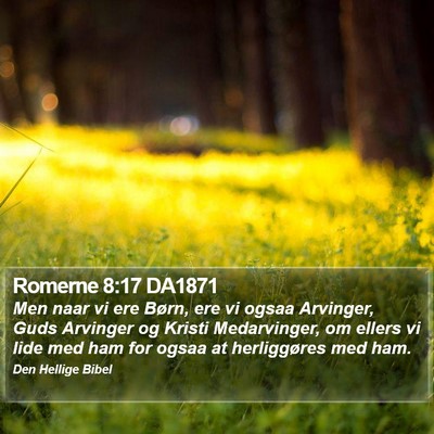 Romerne 8:17 DA1871 Bible Verse Image