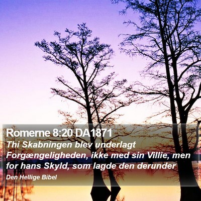 Romerne 8:20 DA1871 Bible Verse Image