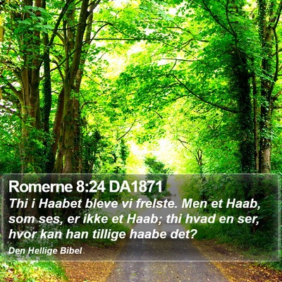 Romerne 8:24 DA1871 Bible Verse Image
