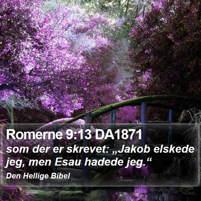 Romerne 9:13 DA1871 Bible Verse Image