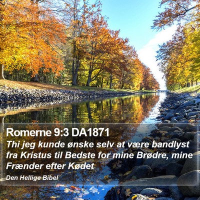 Romerne 9:3 DA1871 Bible Verse Image