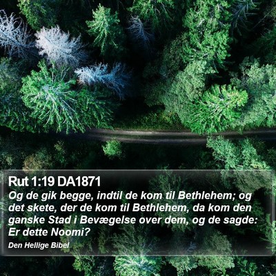 Rut 1:19 DA1871 Bible Verse Image