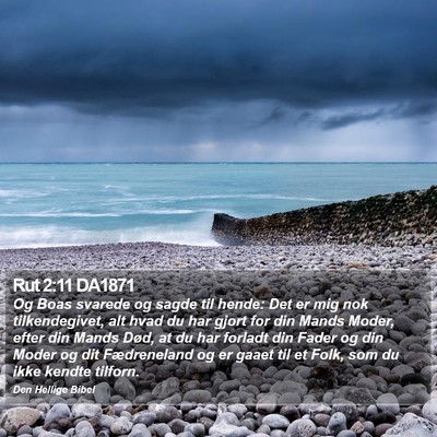 Rut 2:11 DA1871 Bible Verse Image