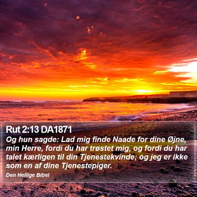 Rut 2:13 DA1871 Bible Verse Image