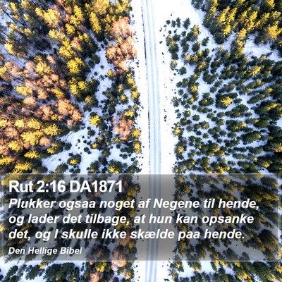 Rut 2:16 DA1871 Bible Verse Image
