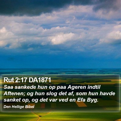 Rut 2:17 DA1871 Bible Verse Image