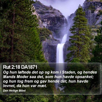 Rut 2:18 DA1871 Bible Verse Image
