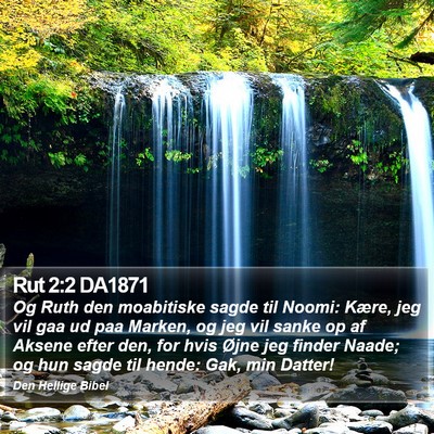 Rut 2:2 DA1871 Bible Verse Image