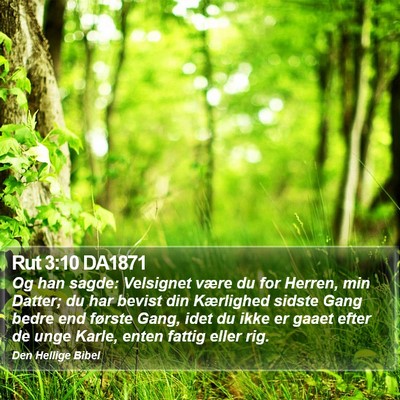 Rut 3:10 DA1871 Bible Verse Image