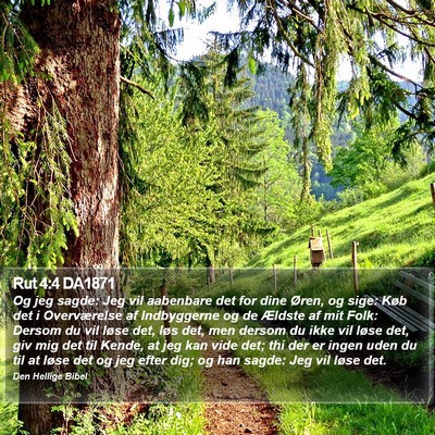 Rut 4:4 DA1871 Bible Verse Image