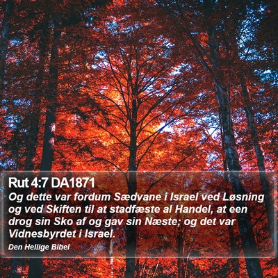 Rut 4:7 DA1871 Bible Verse Image