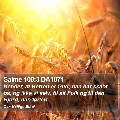 Salme 100:3 DA1871 Bible Verse Image