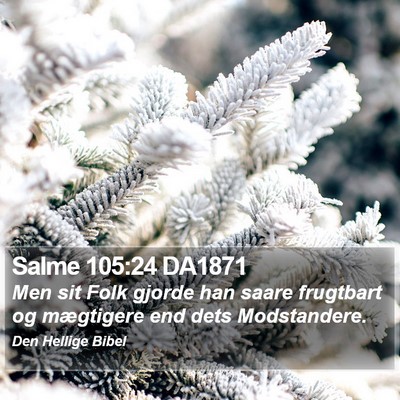 Salme 105:24 DA1871 Bible Verse Image